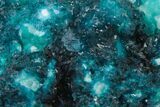 Vibrant Blue Veszelyite Cluster on Hemimorphite - Congo #206104-4
